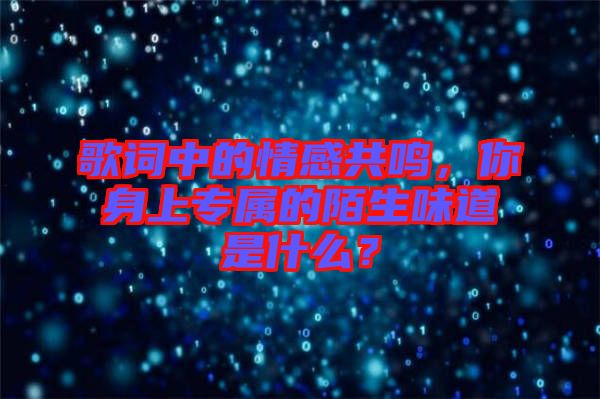 歌詞中的情感共鳴，你身上專屬的陌生味道是什么？