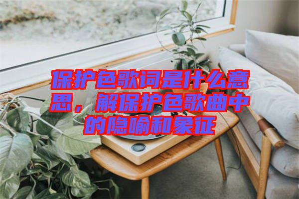 保護(hù)色歌詞是什么意思，解保護(hù)色歌曲中的隱喻和象征