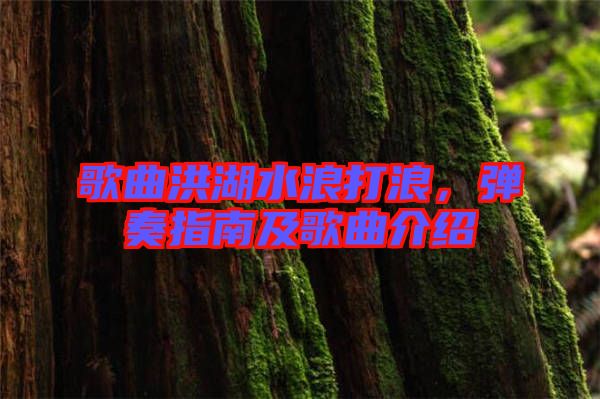 歌曲洪湖水浪打浪，彈奏指南及歌曲介紹