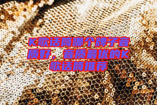 K歌話筒哪個(gè)牌子音質(zhì)好，音質(zhì)最優(yōu)的K歌話筒推薦