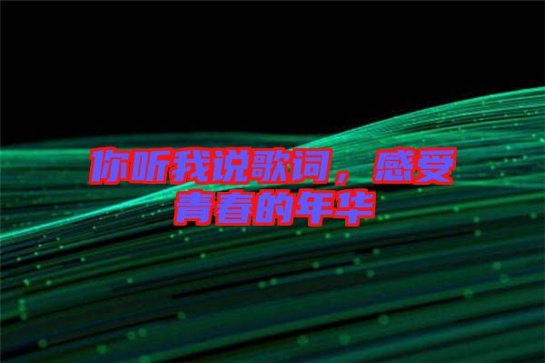 你聽我說歌詞，感受青春的年華