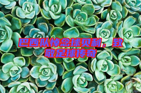 巴西隊(duì)悼念球貝利，致敬足球傳奇