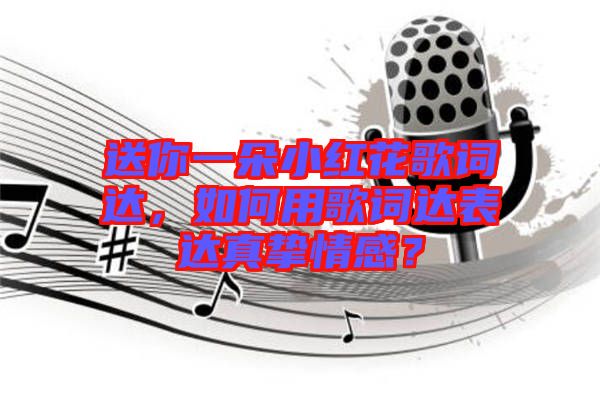 送你一朵小紅花歌詞達，如何用歌詞達表達真摯情感？