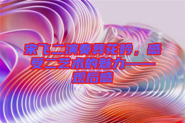 宋飛二演奏葬花吟，感受二藝術(shù)的魅力——觀后感