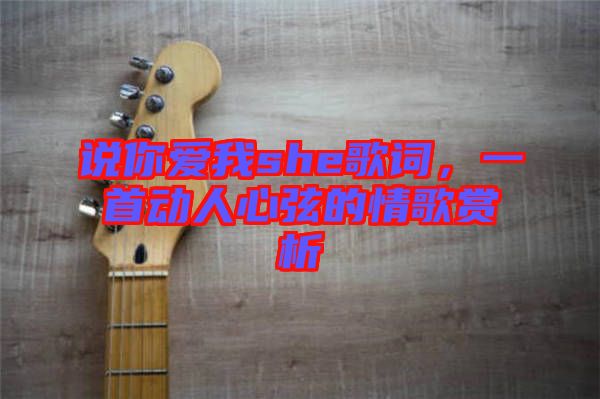 說你愛我she歌詞，一首動人心弦的情歌賞析