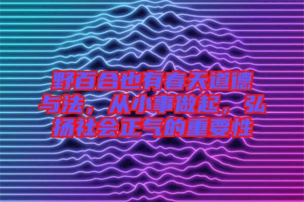 野百合也有春天道德與法，從小事做起，弘揚社會正氣的重要性