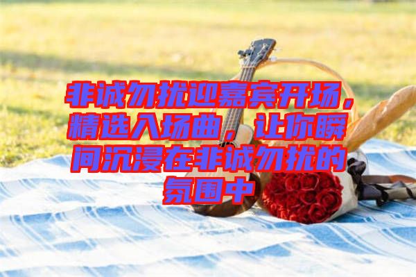 非誠勿擾迎嘉賓開場，精選入場曲，讓你瞬間沉浸在非誠勿擾的氛圍中