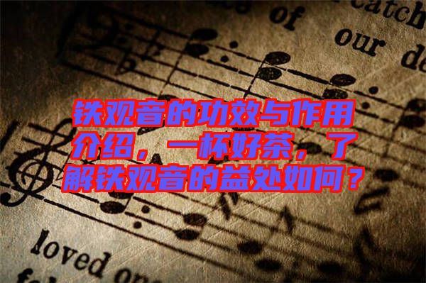 鐵觀音的功效與作用介紹，一杯好茶，了解鐵觀音的益處如何？