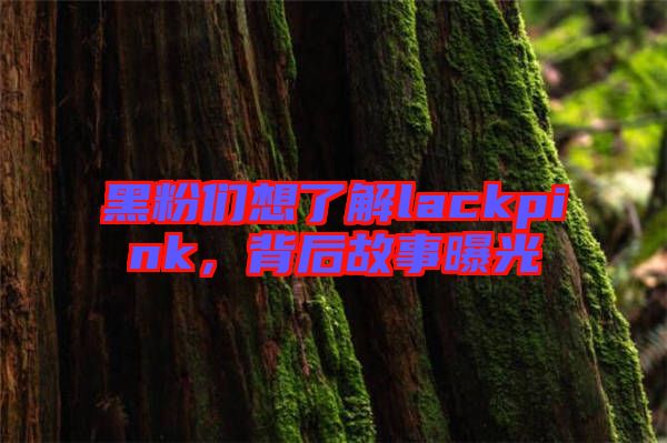 黑粉們想了解lackpink，背后故事曝光