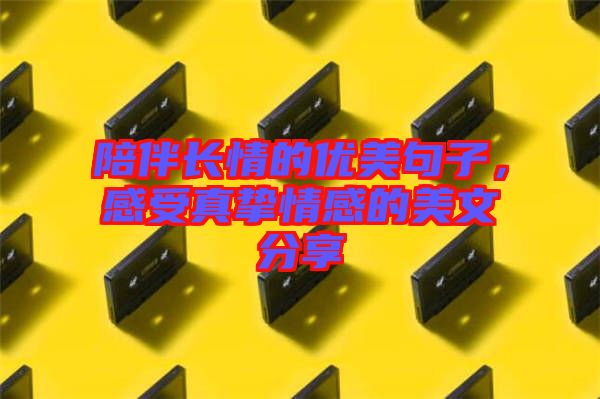 陪伴長情的優(yōu)美句子，感受真摯情感的美文分享