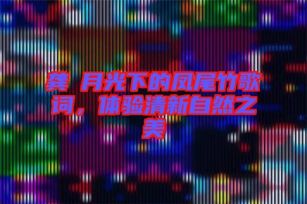 龔玥月光下的鳳尾竹歌詞，體驗(yàn)清新自然之美