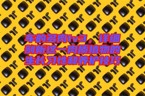 車(chē)的多肉1v3，詳細(xì)剖析這一肉質(zhì)植物的生長(zhǎng)習(xí)性和養(yǎng)護(hù)技巧