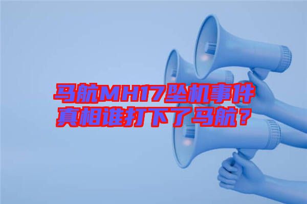 馬航MH17墜機事件真相誰打下了馬航？