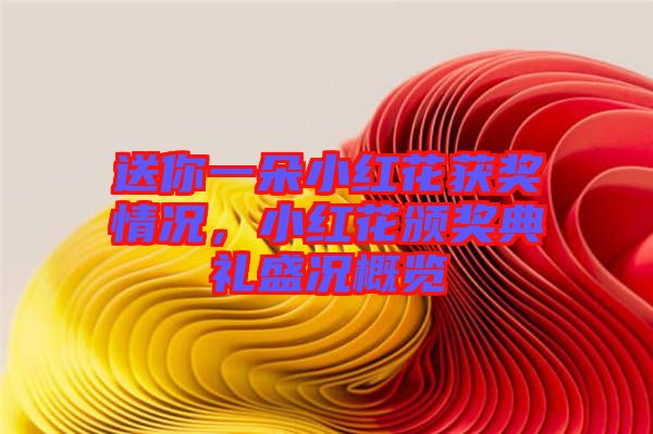 送你一朵小紅花獲獎情況，小紅花頒獎典禮盛況概覽