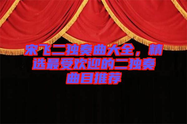 宋飛二獨奏曲大全，精選最受歡迎的二獨奏曲目推薦