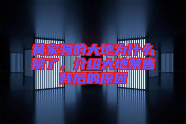 黃家駒的大地為什么禁了，介紹大地禁售背后的原因