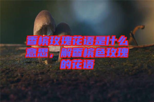 香檳玫瑰花語(yǔ)是什么意思，解香檳色玫瑰的花語(yǔ)