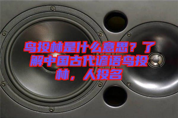 鳥投林是什么意思？了解中國古代諺語鳥投林，人投名