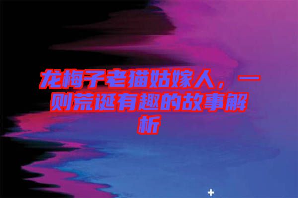 龍梅子老貓姑嫁人，一則荒誕有趣的故事解析