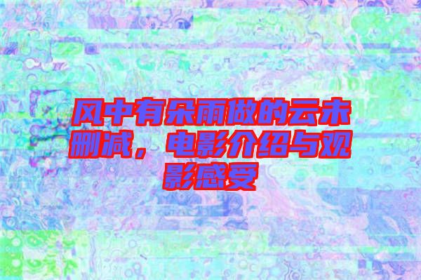 風(fēng)中有朵雨做的云未刪減，電影介紹與觀影感受