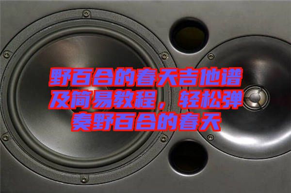 野百合的春天吉他譜及簡(jiǎn)易教程，輕松彈奏野百合的春天