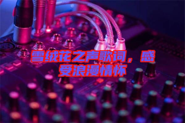 雪絨花之聲歌詞，感受浪漫情懷