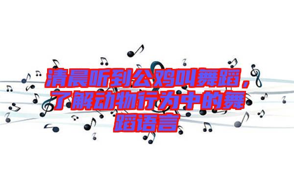 清晨聽到公雞叫舞蹈，了解動(dòng)物行為中的舞蹈語言