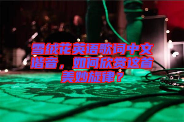 雪絨花英語歌詞中文諧音，如何欣賞這首美妙旋律？