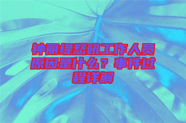鐘麗緹怒吼工作人員原因是什么？事件過程詳解