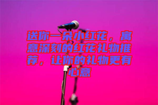 送你一朵小紅花，寓意深刻的紅花禮物推薦，讓你的禮物更有心意