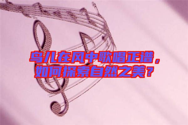 鳥兒在風(fēng)中歌唱正譜，如何探索自然之美？