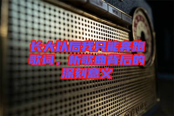 長大以后我只能奔跑歌詞，析歌曲背后的深刻意義
