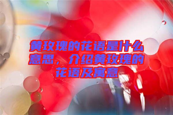 黃玫瑰的花語(yǔ)是什么意思，介紹黃玫瑰的花語(yǔ)及寓意