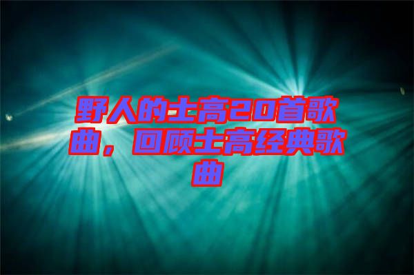 野人的士高20首歌曲，回顧士高經(jīng)典歌曲