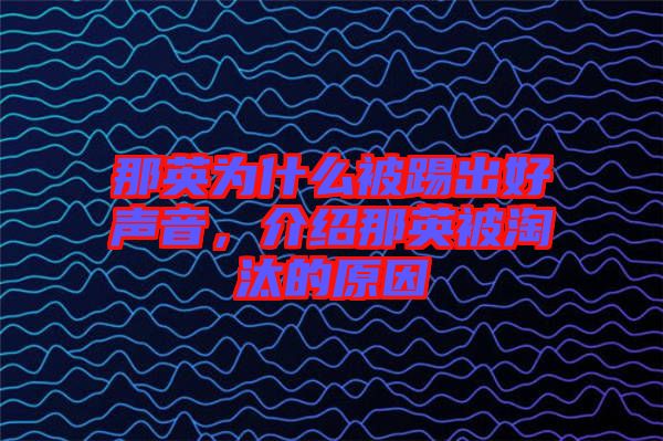 那英為什么被踢出好聲音，介紹那英被淘汰的原因