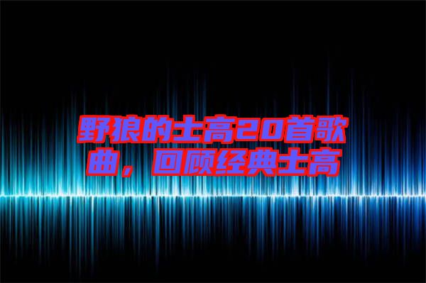 野狼的士高20首歌曲，回顧經(jīng)典士高