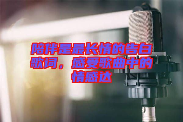 陪伴是最長情的告白歌詞，感受歌曲中的情感達