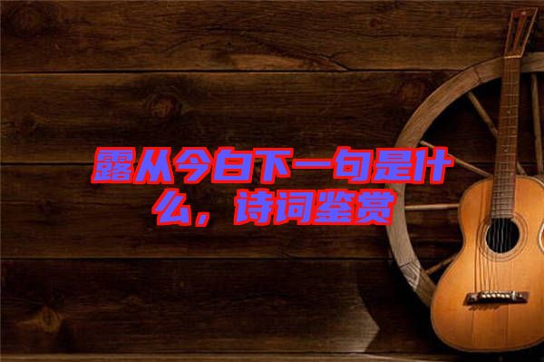 露從今白下一句是什么，詩(shī)詞鑒賞