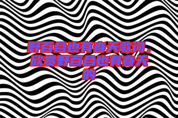 野百合也有春天歌詞，欣賞野百合也有春天的