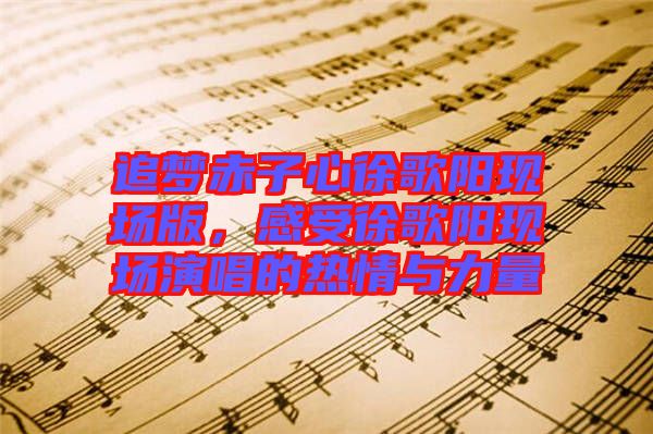 追夢(mèng)赤子心徐歌陽(yáng)現(xiàn)場(chǎng)版，感受徐歌陽(yáng)現(xiàn)場(chǎng)演唱的熱情與力量