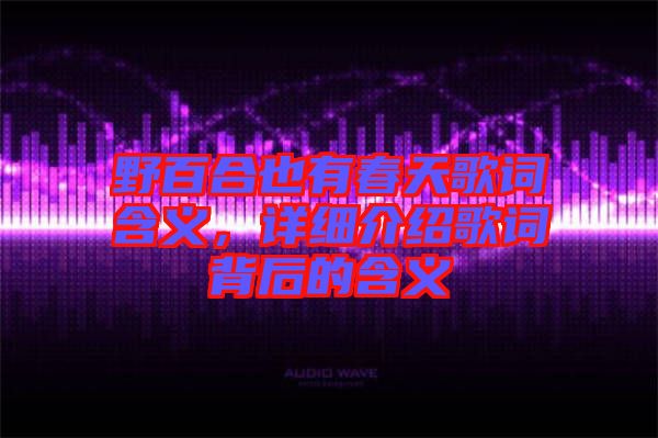 野百合也有春天歌詞含義，詳細介紹歌詞背后的含義