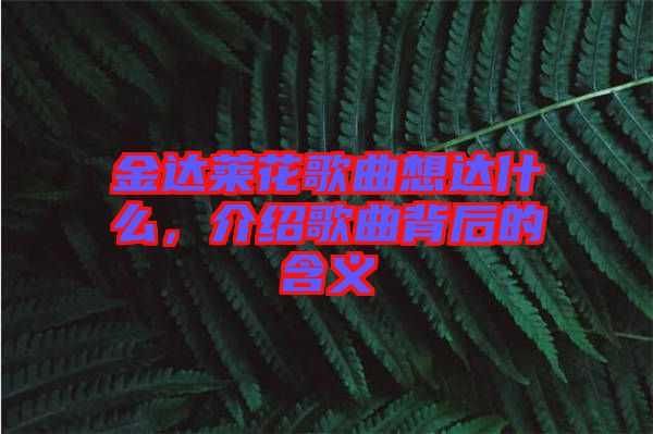 金達(dá)萊花歌曲想達(dá)什么，介紹歌曲背后的含義